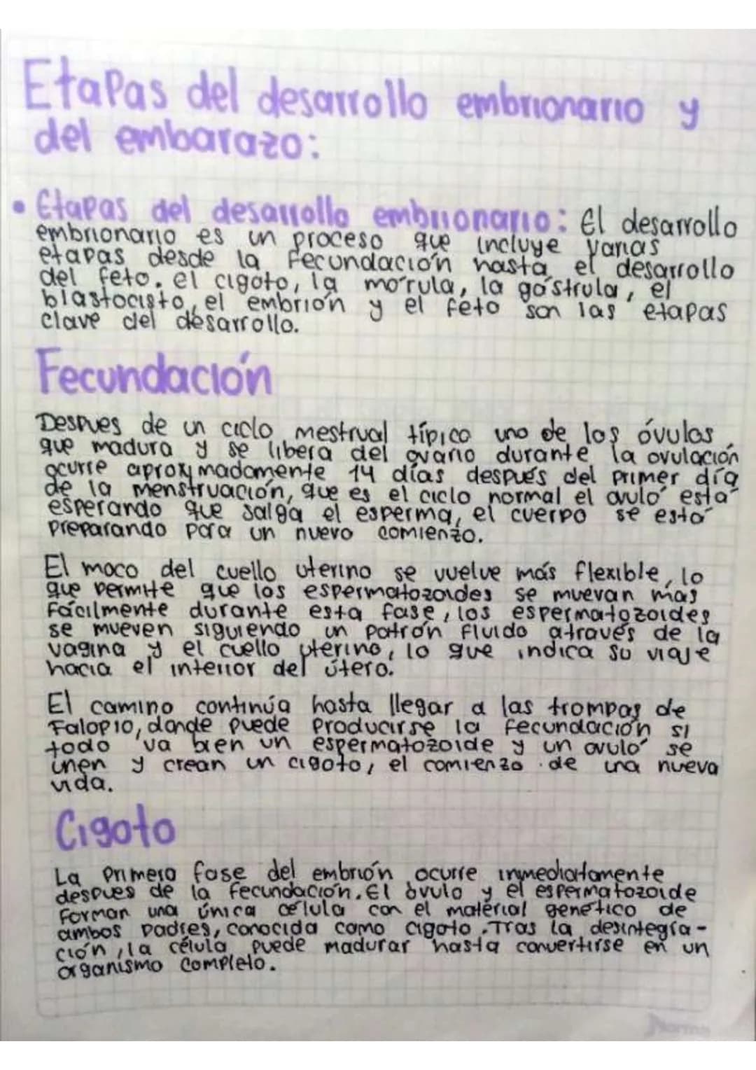 Contenido
• Introducción
•Temas de investigación
-elaras del desarrollo embrionano y del embarazo
Organos reproductivos masculinos y femenin