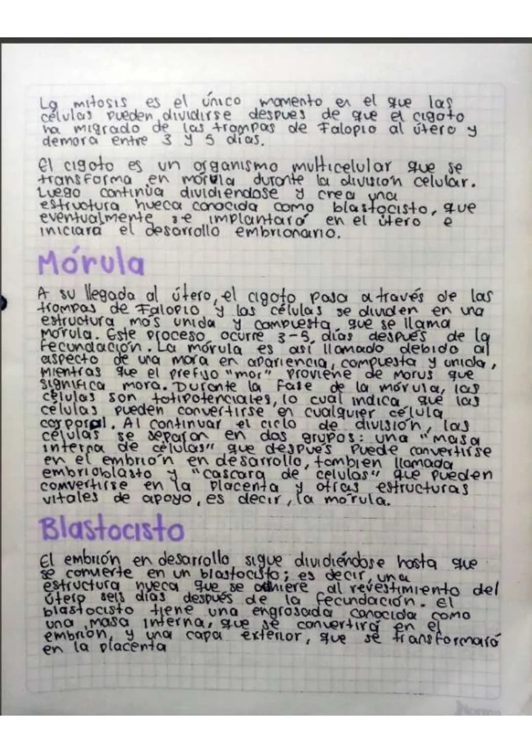 Contenido
• Introducción
•Temas de investigación
-elaras del desarrollo embrionano y del embarazo
Organos reproductivos masculinos y femenin