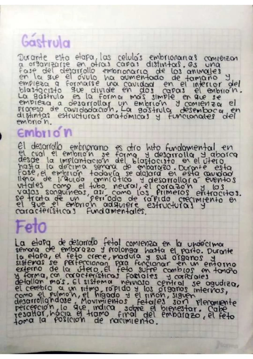 Contenido
• Introducción
•Temas de investigación
-elaras del desarrollo embrionano y del embarazo
Organos reproductivos masculinos y femenin