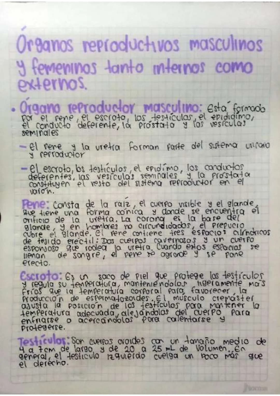 Contenido
• Introducción
•Temas de investigación
-elaras del desarrollo embrionano y del embarazo
Organos reproductivos masculinos y femenin