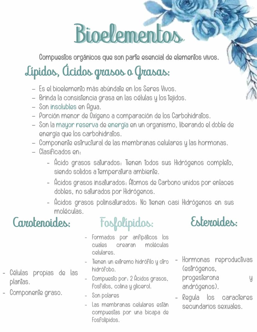 Bioelementos
Compuestos orgánicos que son parte esencial de elementos vivos.
Lipidos, ácidos grasos o Grasas:
Es el bioelemento más abúndate