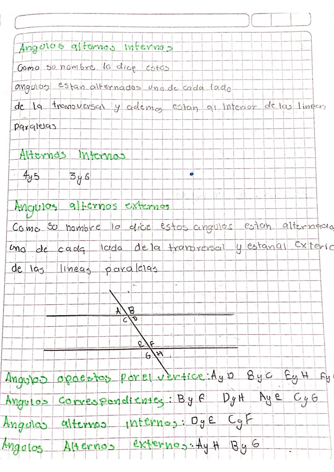 Tipos de ángulos formados por dos rectas paralelas cortadas por una transversal 