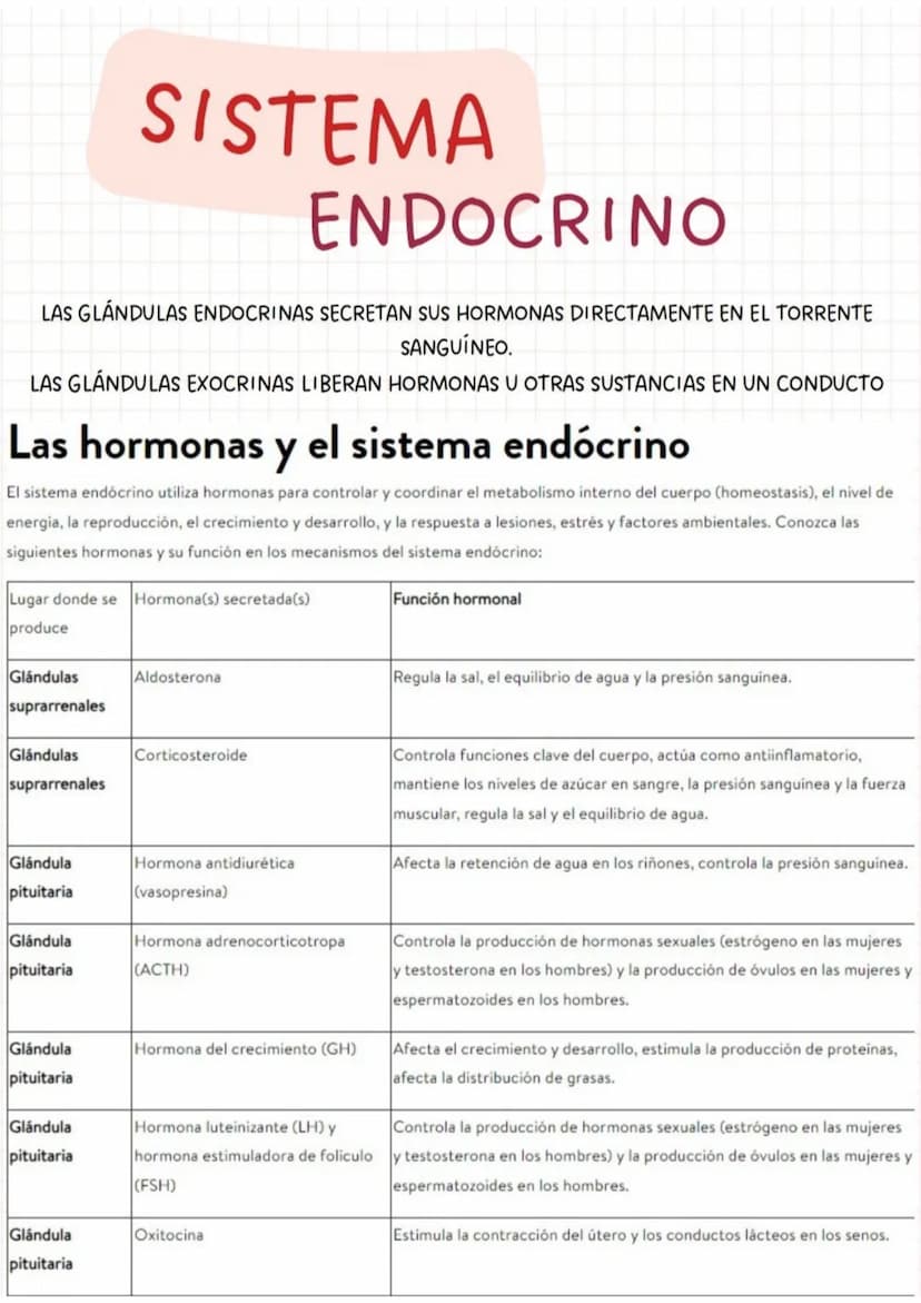 PARTES DEL
SISTEMA
ENDOCRINO
GLÁNDULA PITUITARIA
La pituitaria es la "glándula de control
maestro" produce hormonas que afectan
el crecimien