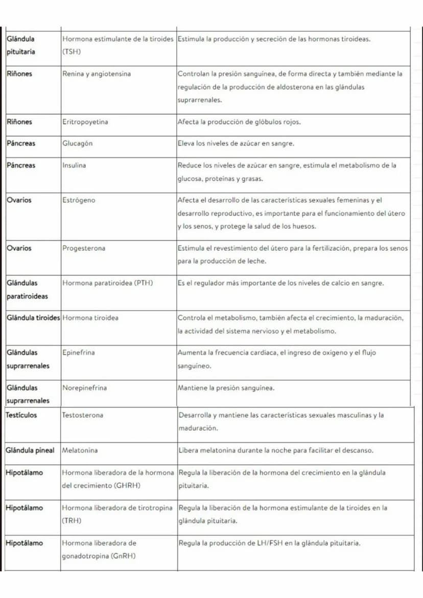 PARTES DEL
SISTEMA
ENDOCRINO
GLÁNDULA PITUITARIA
La pituitaria es la "glándula de control
maestro" produce hormonas que afectan
el crecimien