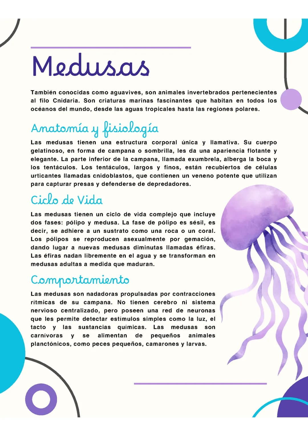 Medusas