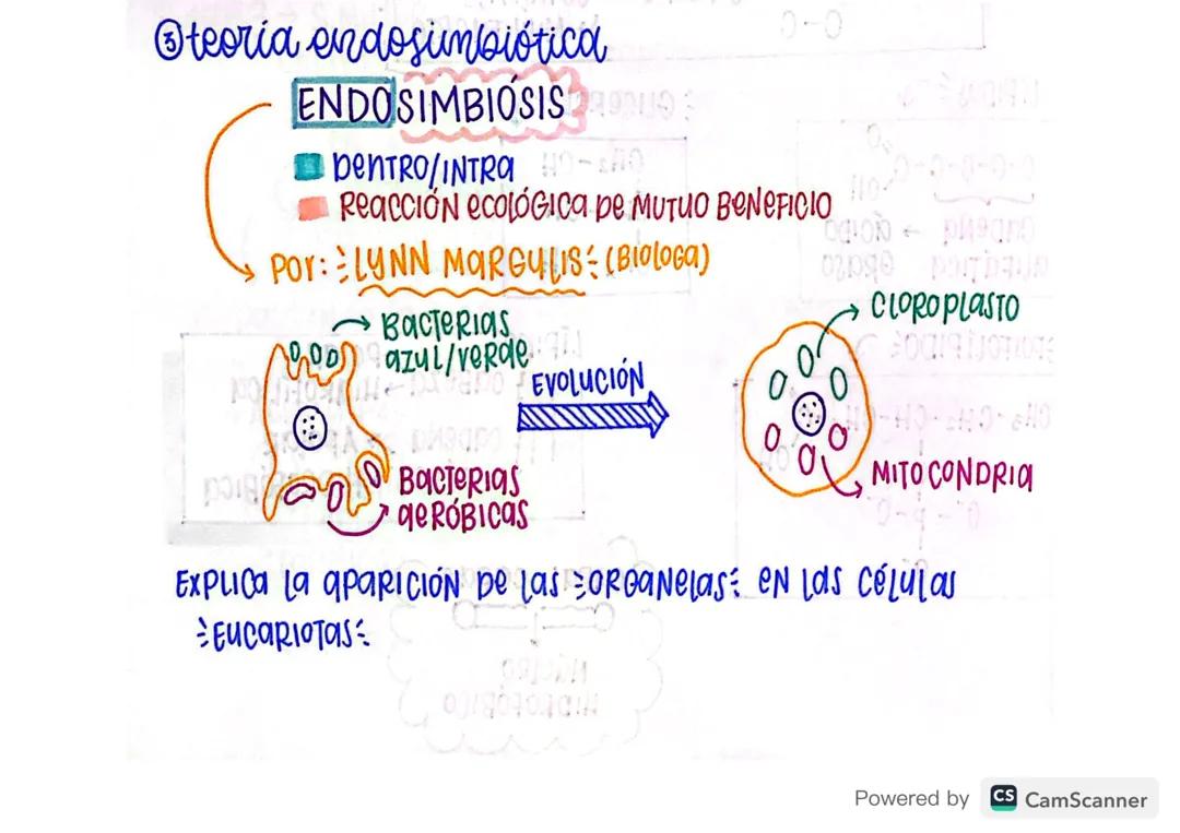 Biología grado 11 - Teoría endosimbiótica y Teoría celular