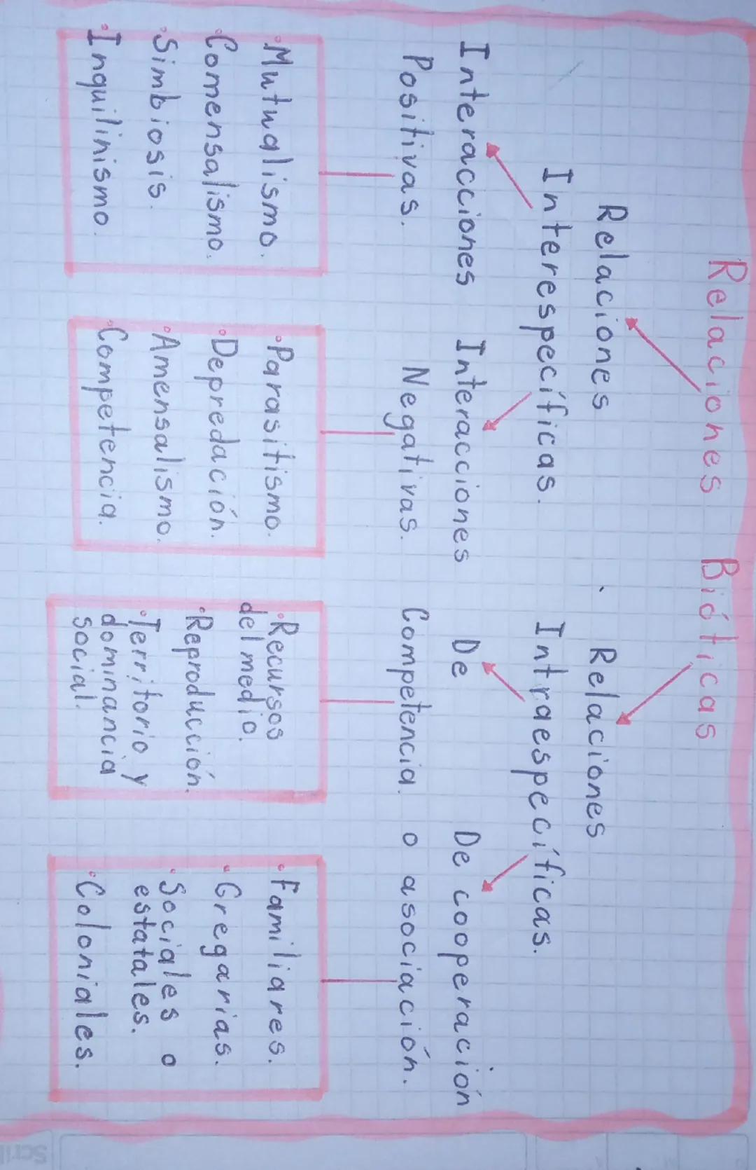 Relaciones Bióticas

Relaciones
Interespecíficas.

Interacciones Interacciones

Relaciones
Intraespecíficas.

De
Negativas. Competencia.

De