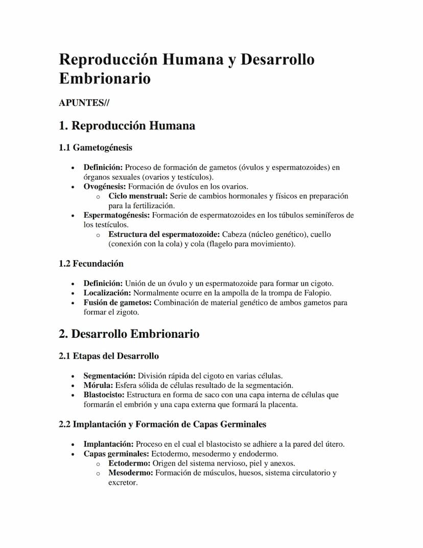Reproducción Humana y Desarrollo
Embrionario
APUNTES//
1. Reproducción Humana
1.1 Gametogénesis
•
•
Definición: Proceso de formación de game