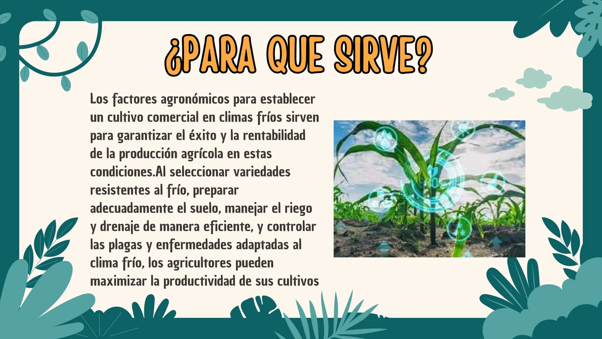LOS FACTORES AGRONOMOS
ESTABLECER CULTIVOS EN CLIMAS FRIOS ¿QUE ES?
Los factores agronómicos para
establecer un cultivo comercial en
climas 