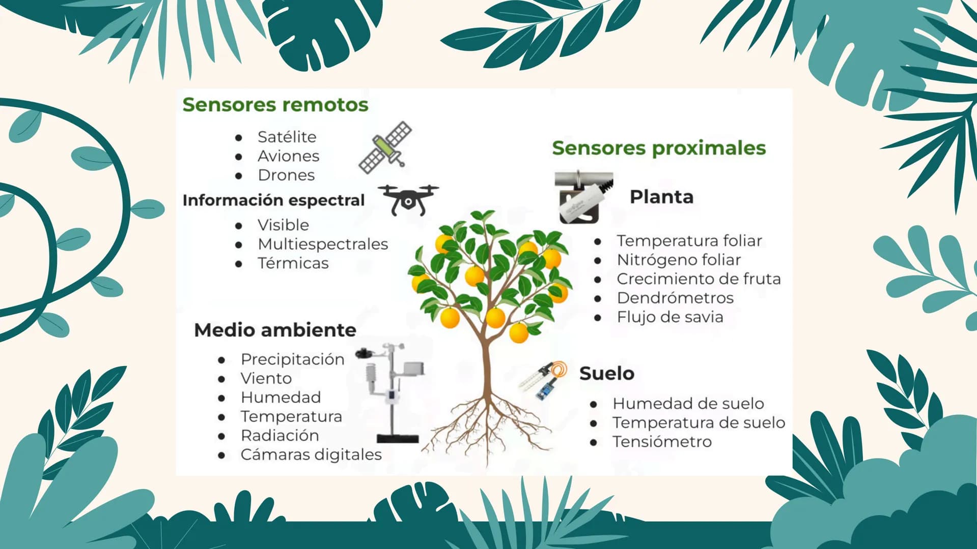 LOS FACTORES AGRONOMOS
ESTABLECER CULTIVOS EN CLIMAS FRIOS ¿QUE ES?
Los factores agronómicos para
establecer un cultivo comercial en
climas 