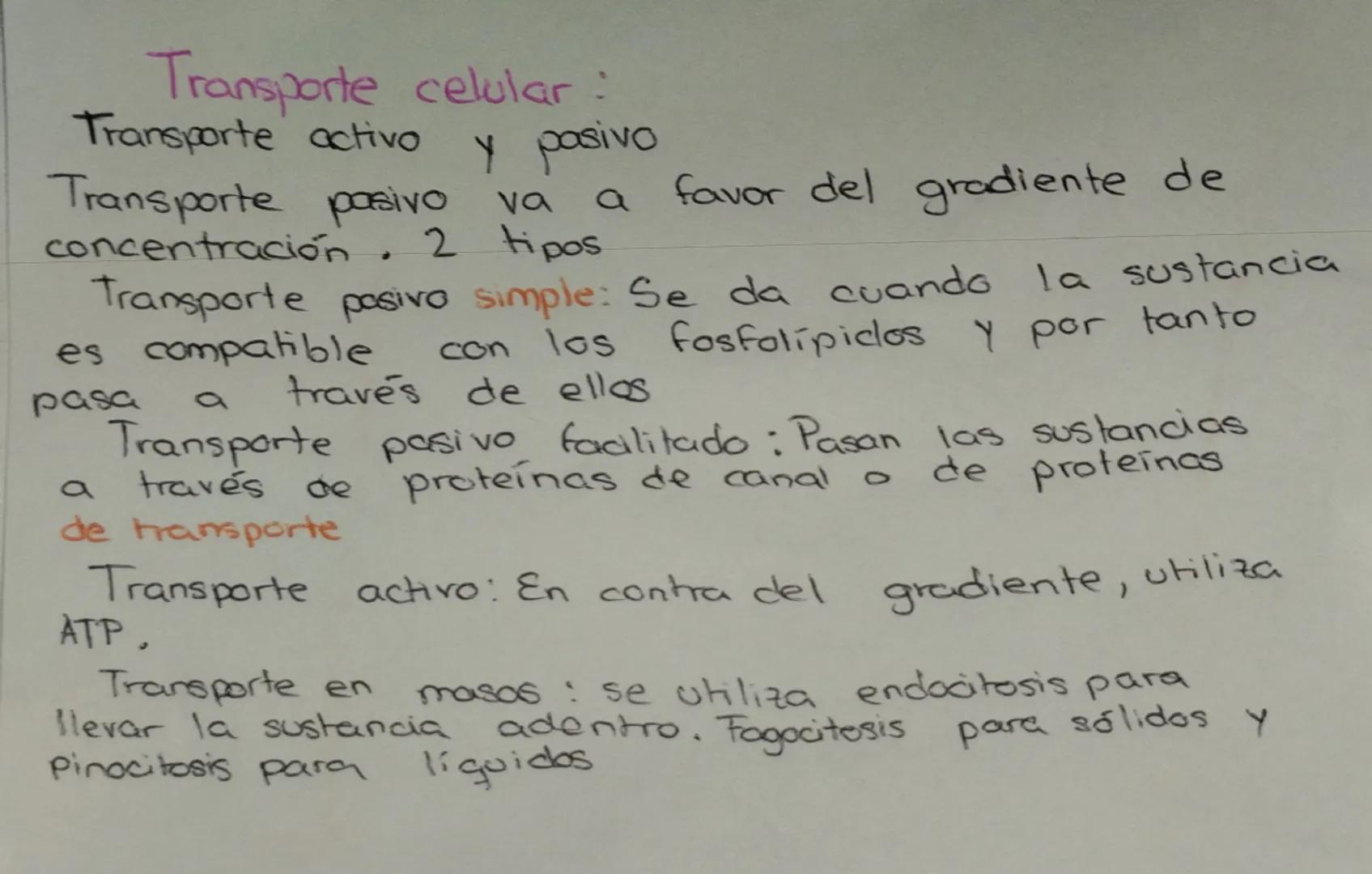 2 tipos:
Es la unidad
estructural y funcional La célula
Eucanotas: Organismes
plunicelulares Animales que compone a todos
plantas, humanos)
