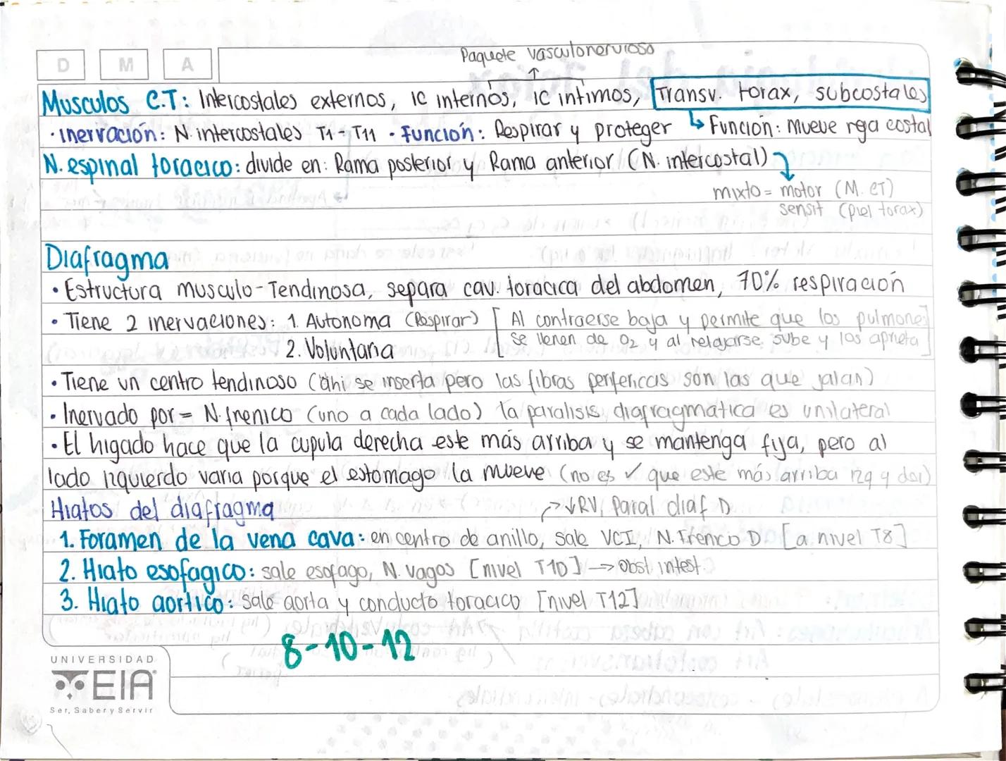 Morfologia del Torax
map4
Caja toracica Cesqueleto axial, protege org. Intratoracicos)
→ union de C3 C4 C5
N. frenico (No es par eraneal)
mi