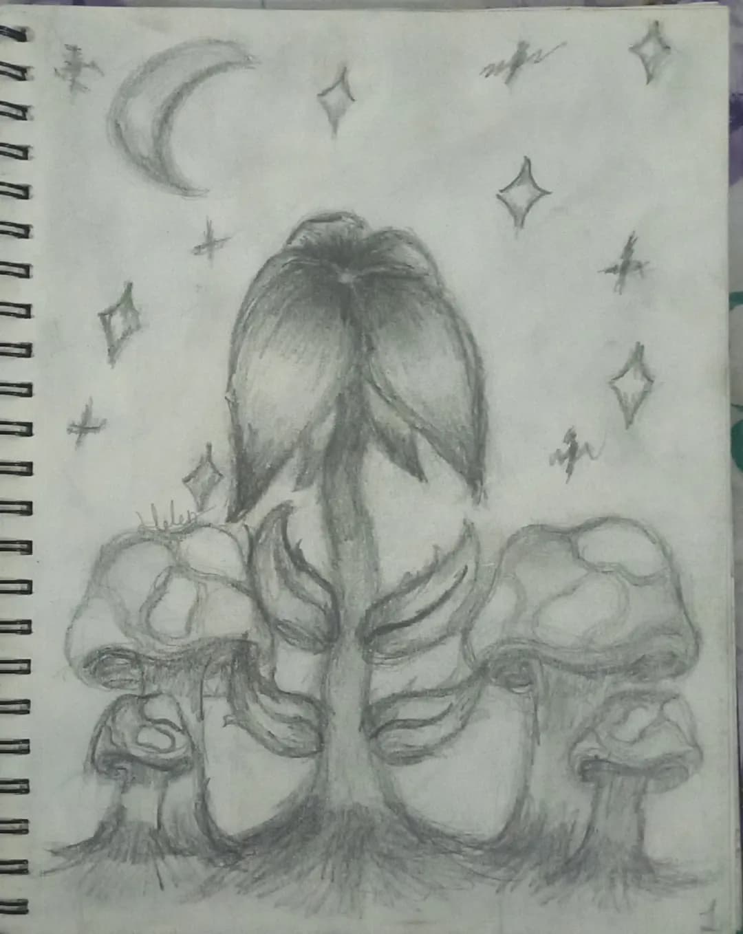  Dibujo