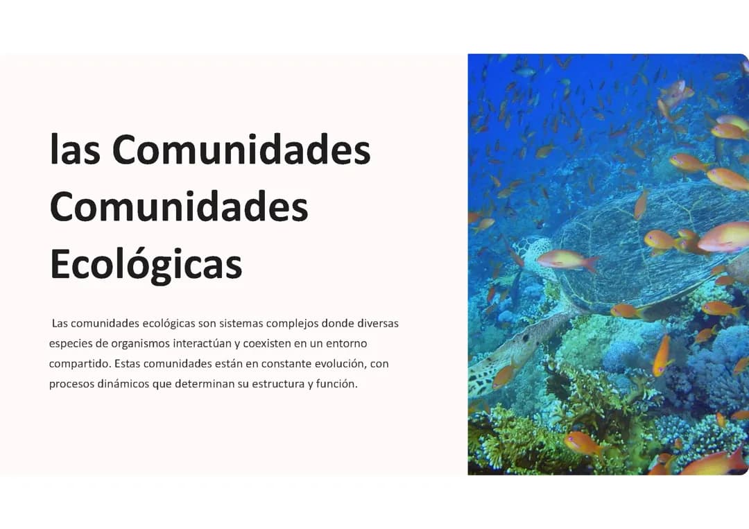 Comunidades: