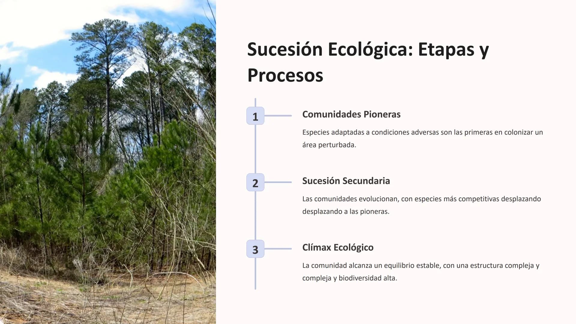 las Comunidades
Comunidades
Ecológicas
Las comunidades ecológicas son sistemas complejos donde diversas
especies de organismos interactúan y