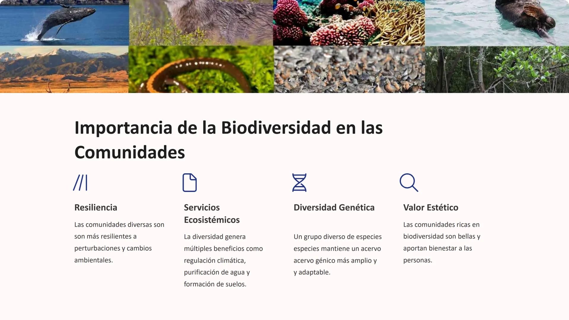 las Comunidades
Comunidades
Ecológicas
Las comunidades ecológicas son sistemas complejos donde diversas
especies de organismos interactúan y