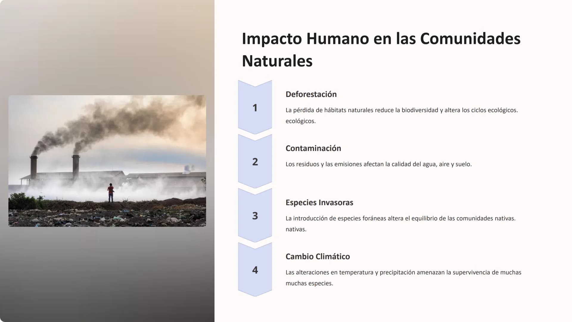 las Comunidades
Comunidades
Ecológicas
Las comunidades ecológicas son sistemas complejos donde diversas
especies de organismos interactúan y