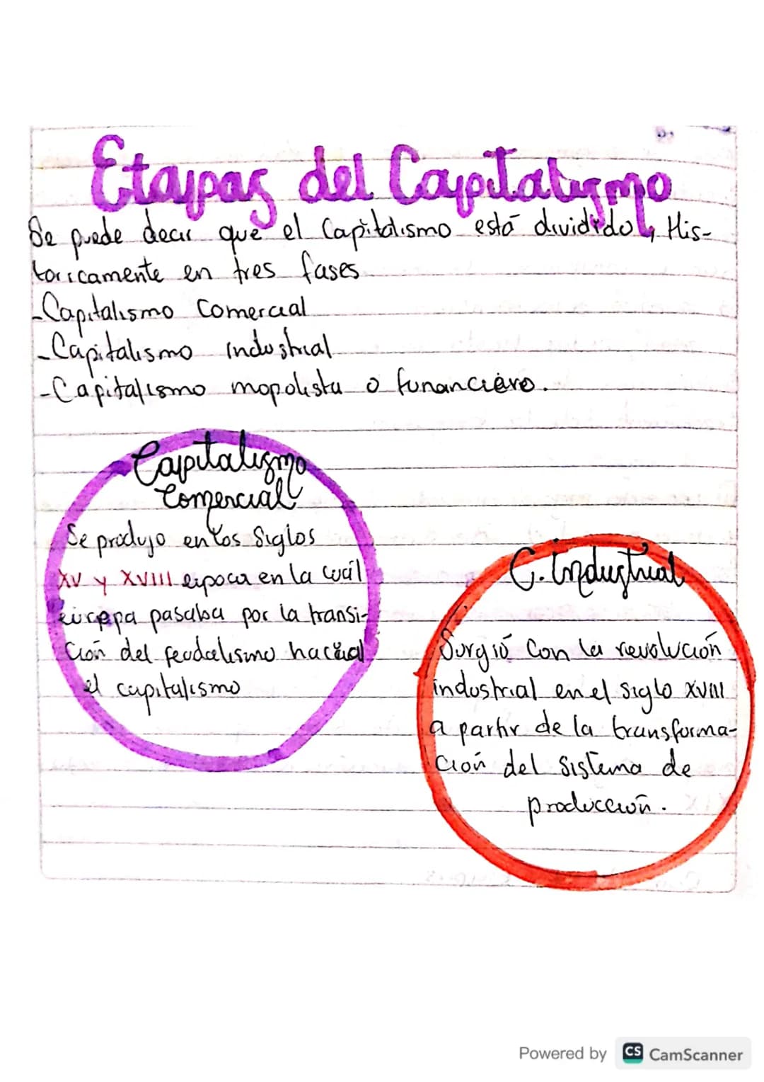 Sistema capitalista
