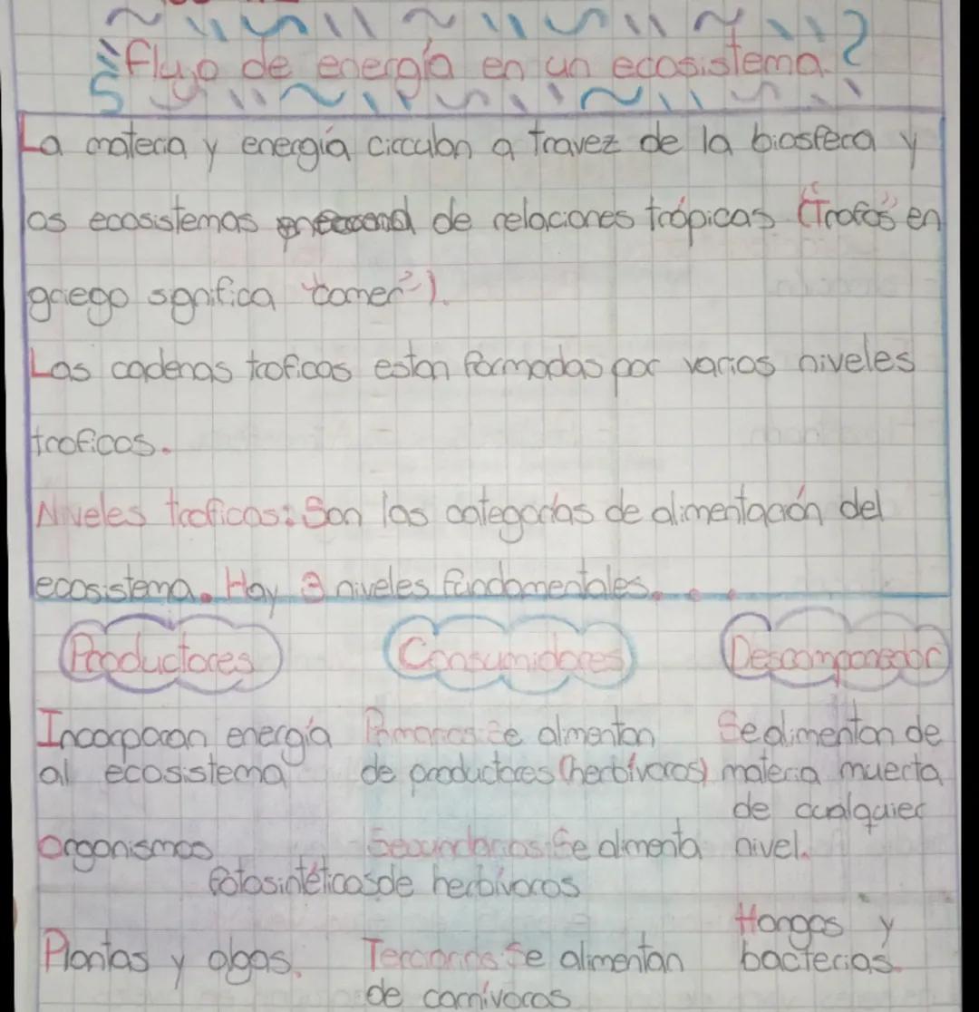 - ¿flyo de energía en u
- energía en un ecosistema.
- La materia y energía cicculon a travez de la biosfera y
- os ecosistemas eneccond de r
