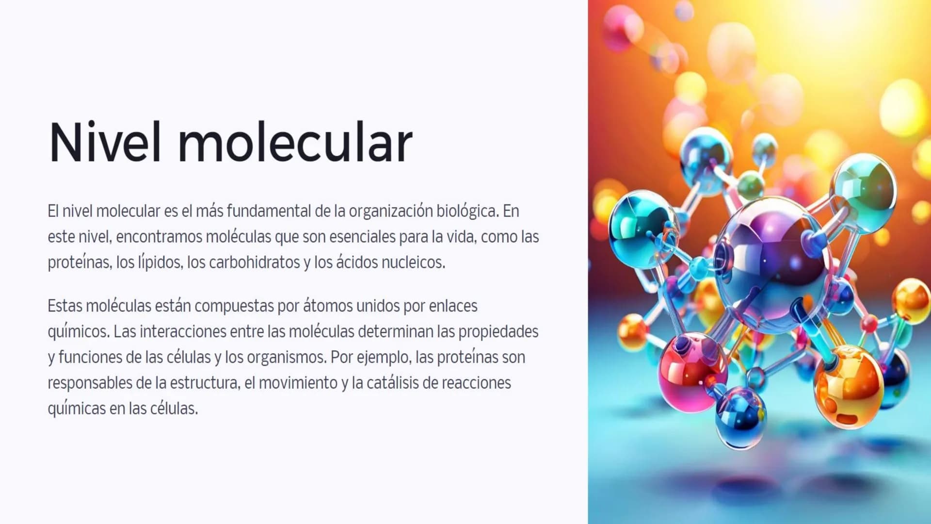 Introducción: Niveles
de organización
biológica
La vida en la Tierra se organiza en diferentes niveles, desde las moléculas
más pequeñas has
