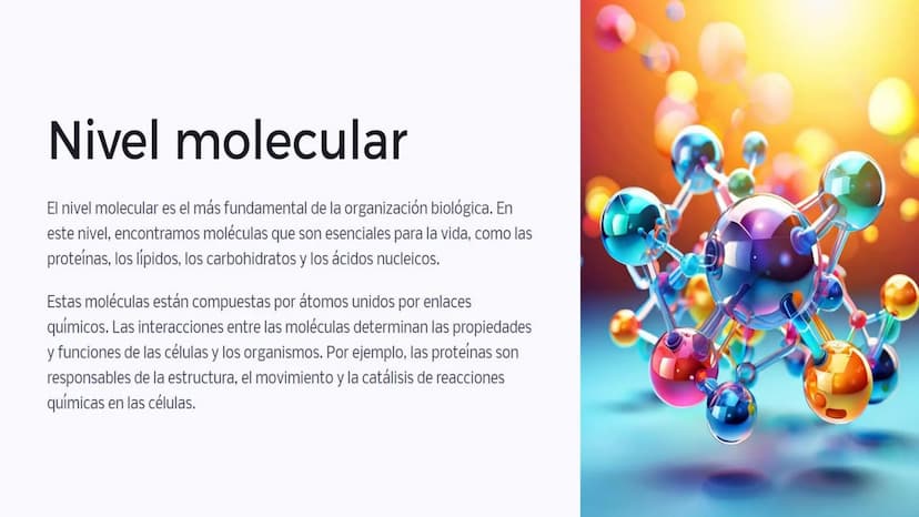 Introducción: Niveles
de organización
biológica
La vida en la Tierra se organiza en diferentes niveles, desde las moléculas
más pequeñas has