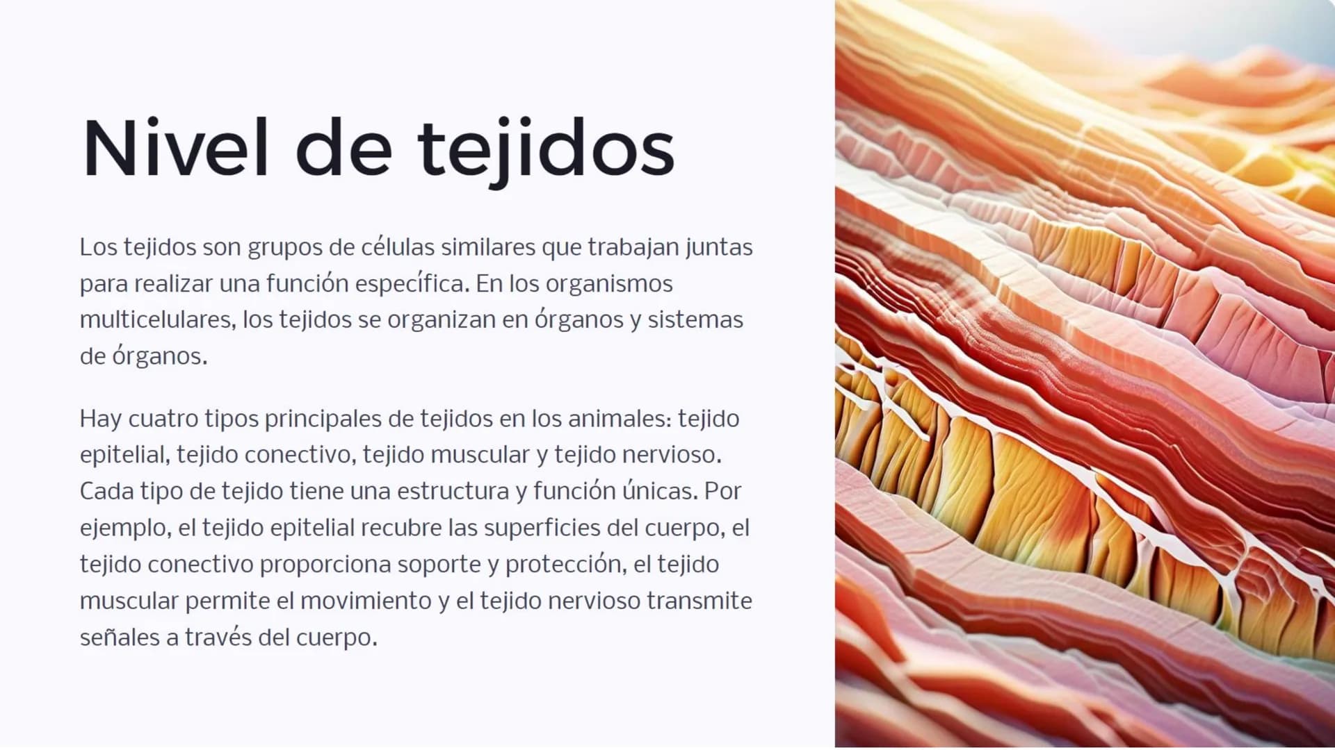 Introducción: Niveles
de organización
biológica
La vida en la Tierra se organiza en diferentes niveles, desde las moléculas
más pequeñas has