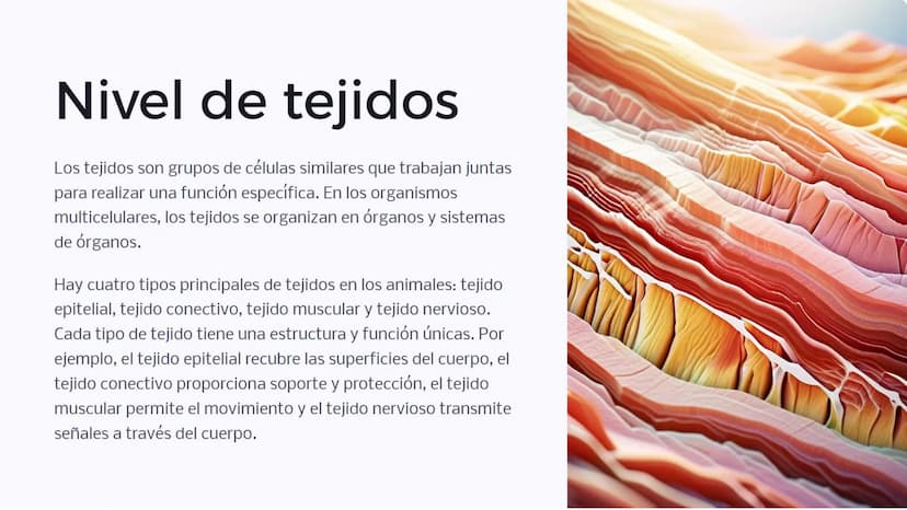 Introducción: Niveles
de organización
biológica
La vida en la Tierra se organiza en diferentes niveles, desde las moléculas
más pequeñas has