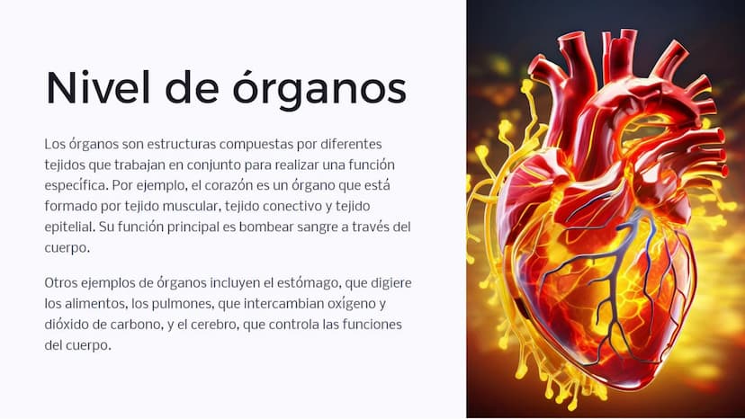 Introducción: Niveles
de organización
biológica
La vida en la Tierra se organiza en diferentes niveles, desde las moléculas
más pequeñas has
