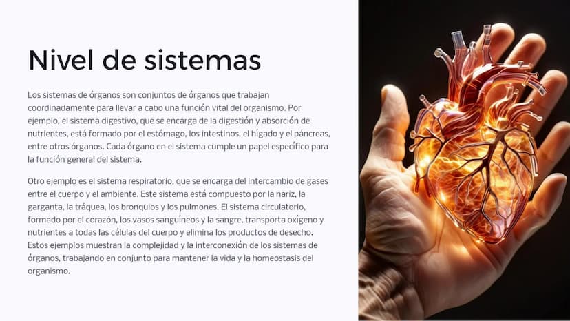 Introducción: Niveles
de organización
biológica
La vida en la Tierra se organiza en diferentes niveles, desde las moléculas
más pequeñas has
