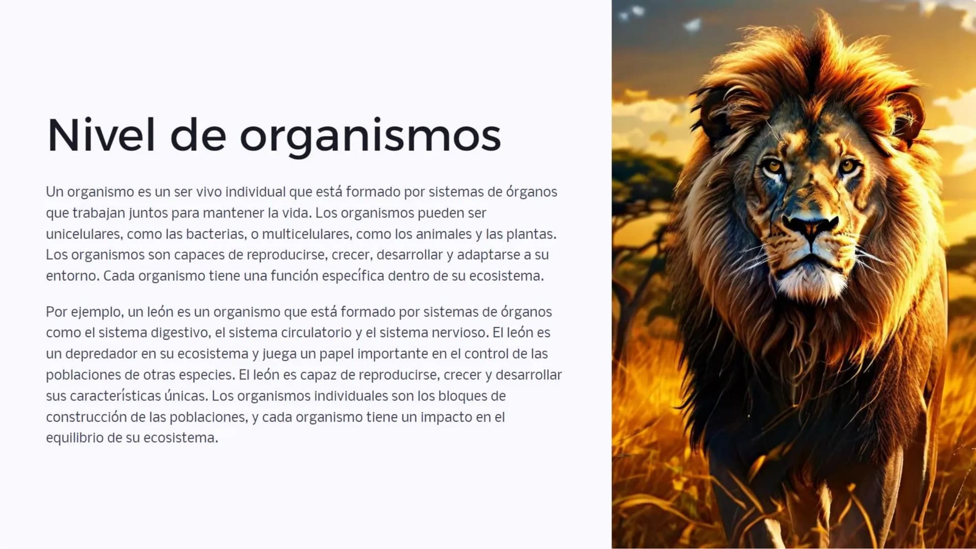 Introducción: Niveles
de organización
biológica
La vida en la Tierra se organiza en diferentes niveles, desde las moléculas
más pequeñas has