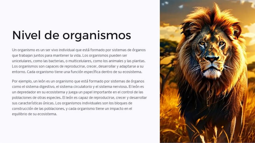 Introducción: Niveles
de organización
biológica
La vida en la Tierra se organiza en diferentes niveles, desde las moléculas
más pequeñas has