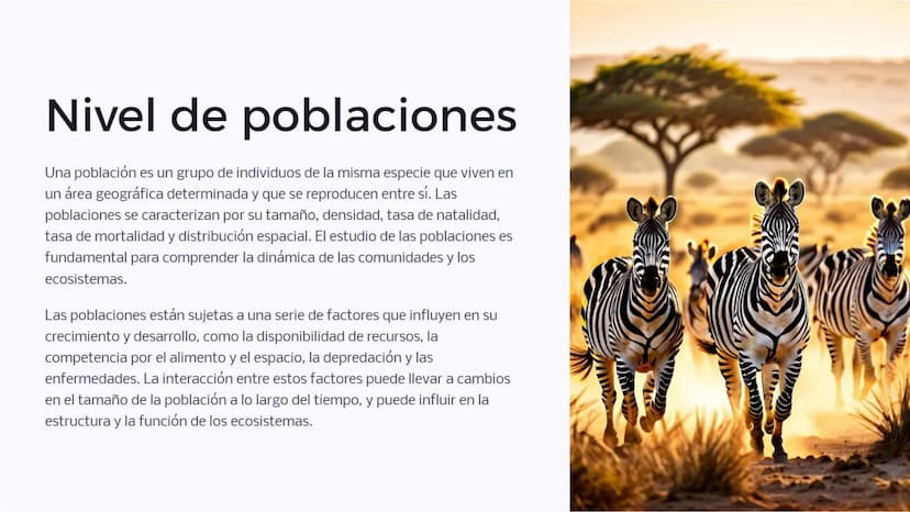 Introducción: Niveles
de organización
biológica
La vida en la Tierra se organiza en diferentes niveles, desde las moléculas
más pequeñas has