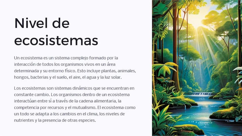 Introducción: Niveles
de organización
biológica
La vida en la Tierra se organiza en diferentes niveles, desde las moléculas
más pequeñas has