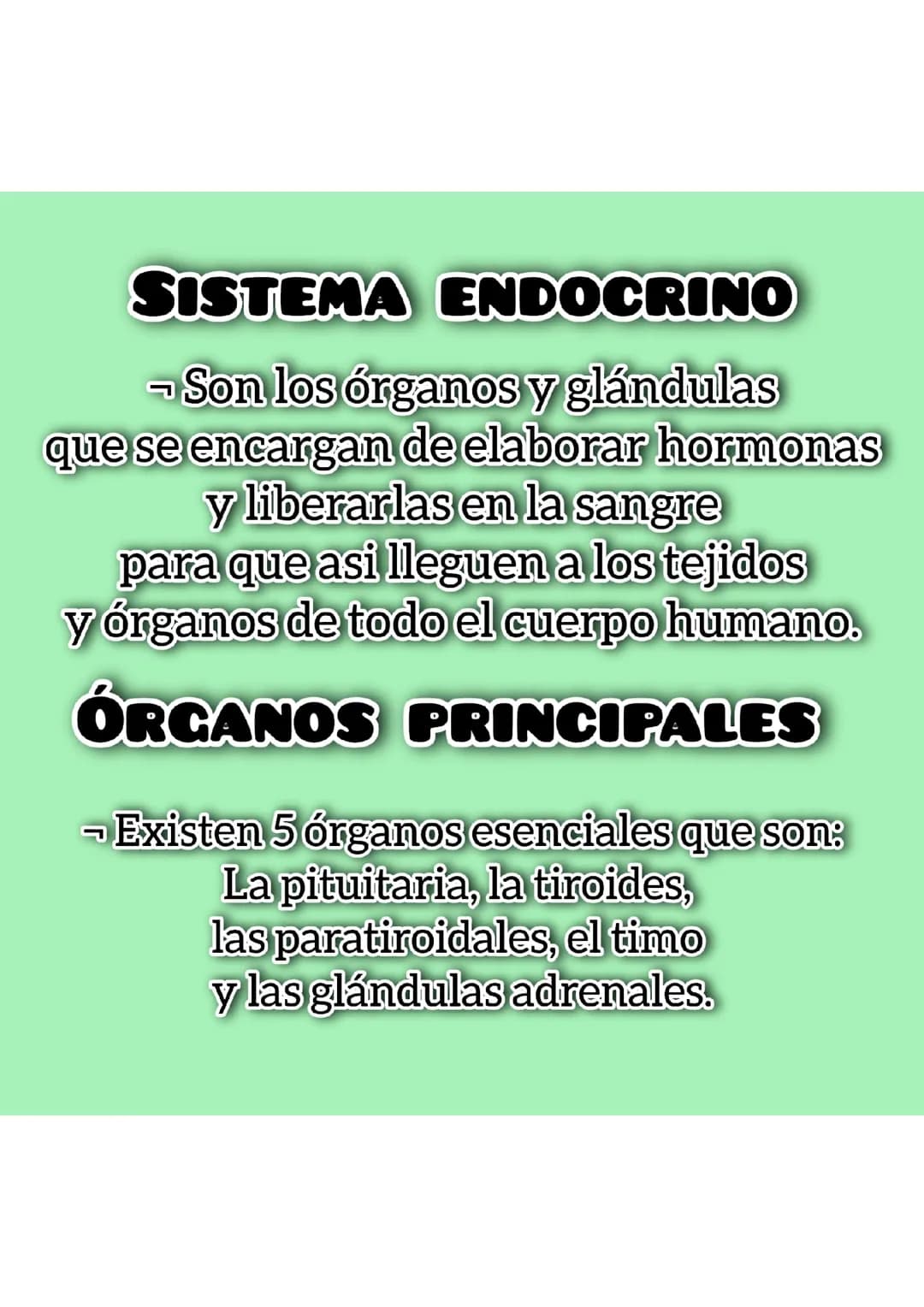Sistema endocrino 