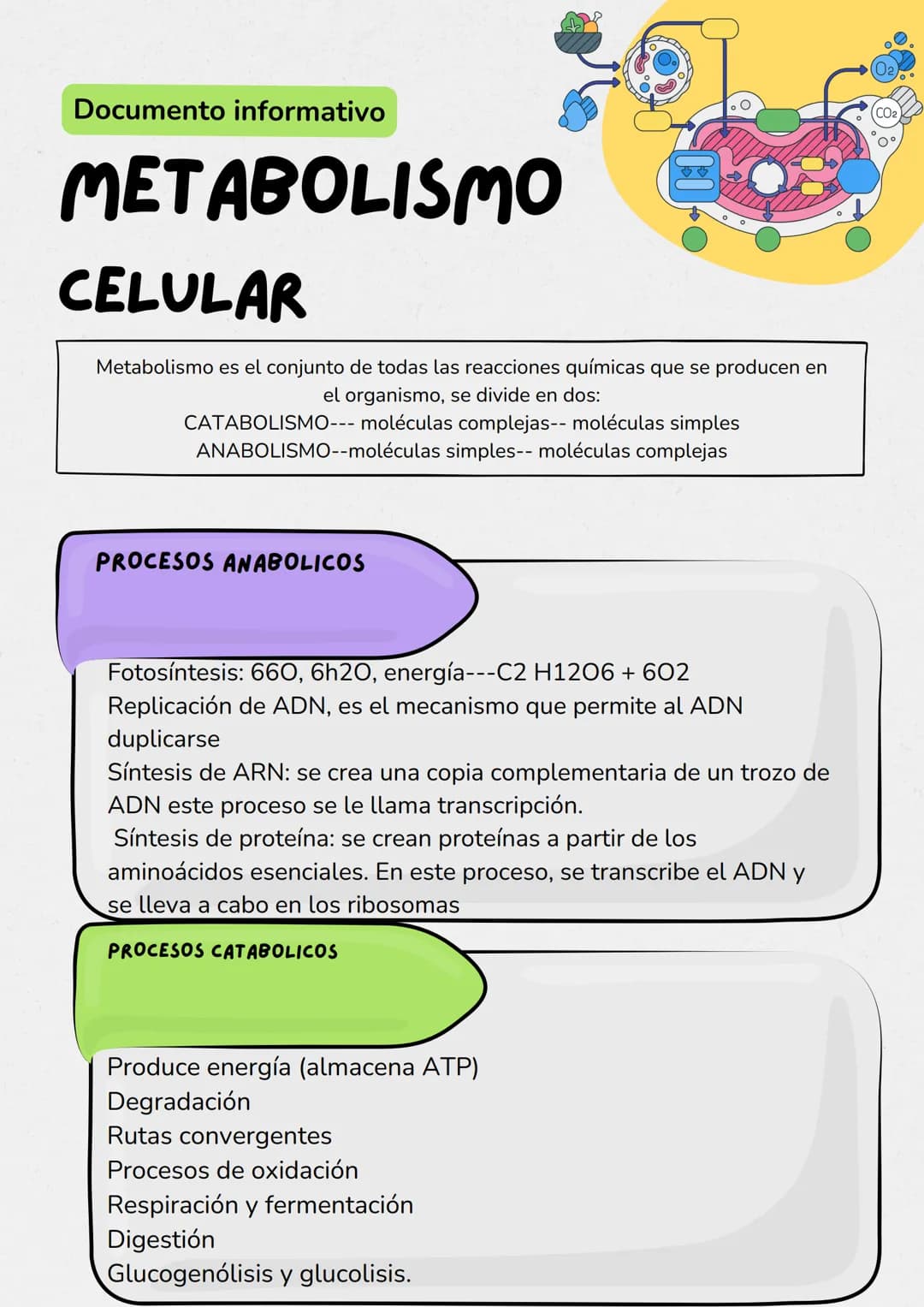 Documento informativo
METABOLISMO
CELULAR
Metabolismo es el conjunto de todas las reacciones químicas que se producen en
el organismo, se di