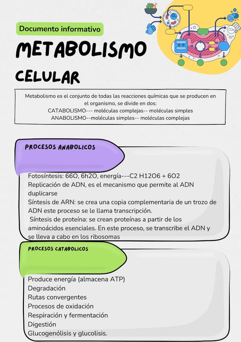 Documento informativo
METABOLISMO
CELULAR
Metabolismo es el conjunto de todas las reacciones químicas que se producen en
el organismo, se di