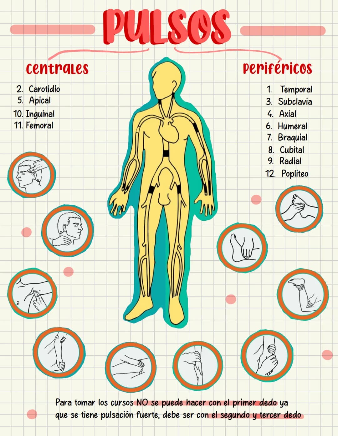 PRIMEROS
AUXILIOS Primeros auxILIOS
Los primeros auxilios son muy importantes, ya que de los
primeros minutos dependerá el pronóstico de la 