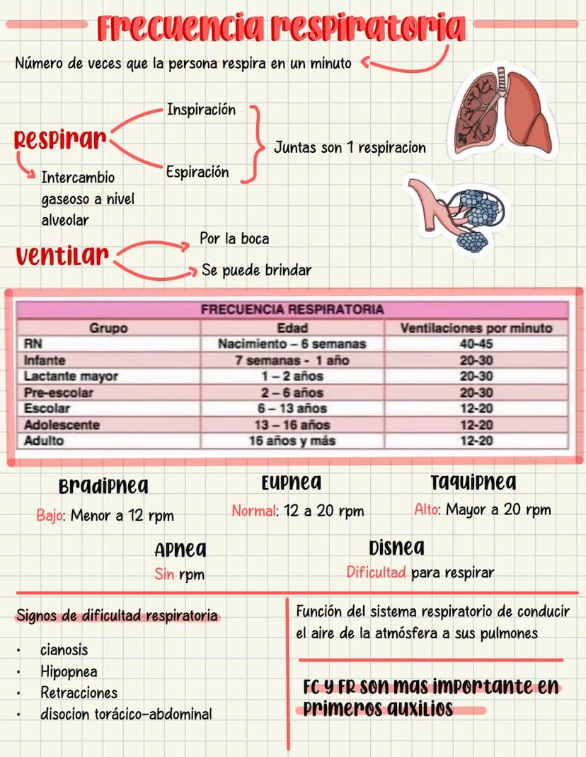 PRIMEROS
AUXILIOS Primeros auxILIOS
Los primeros auxilios son muy importantes, ya que de los
primeros minutos dependerá el pronóstico de la 