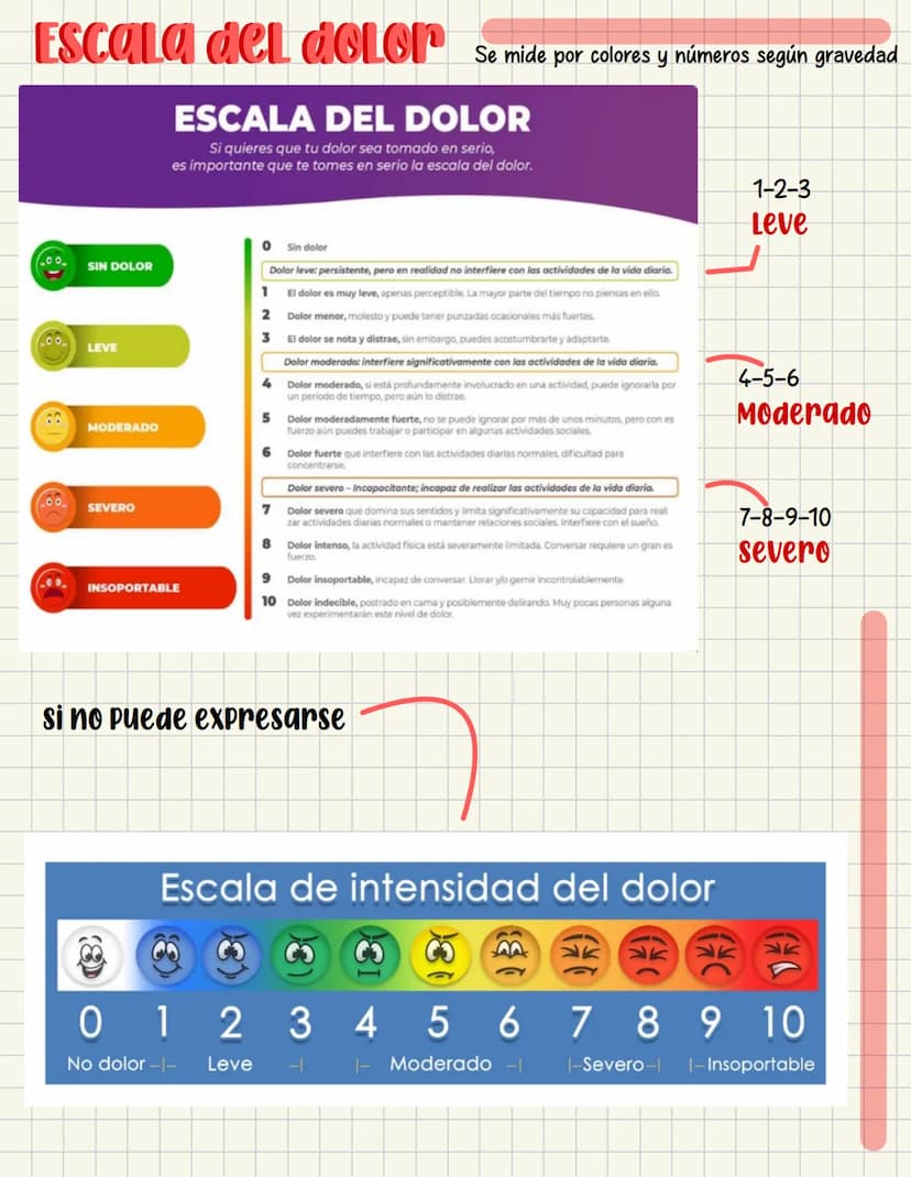 PRIMEROS
AUXILIOS Primeros auxILIOS
Los primeros auxilios son muy importantes, ya que de los
primeros minutos dependerá el pronóstico de la 