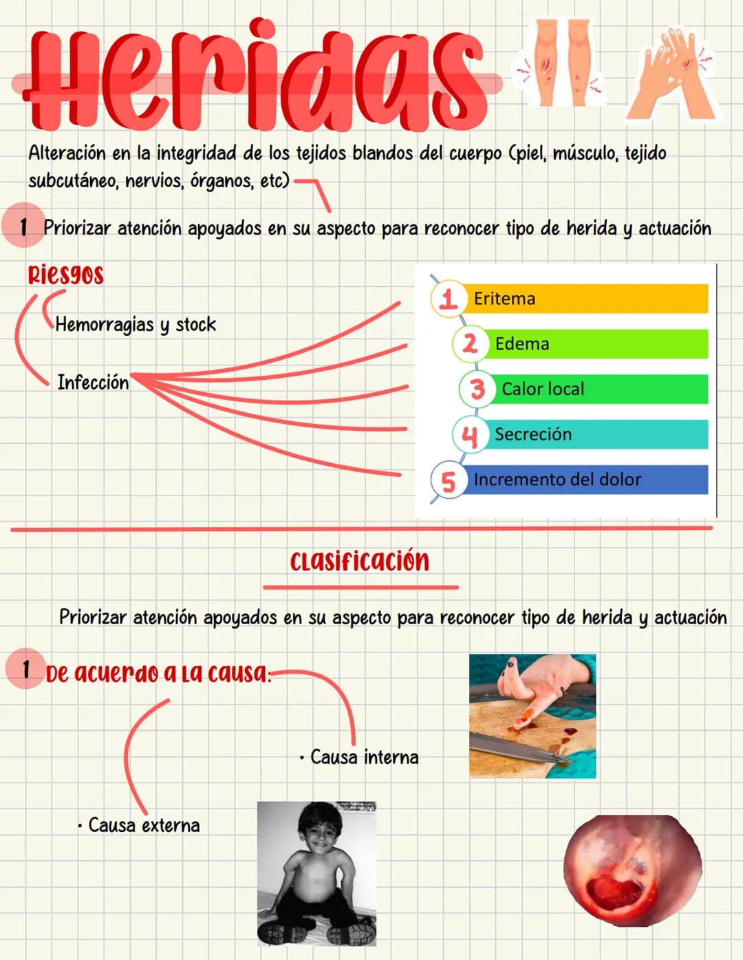 PRIMEROS
AUXILIOS Primeros auxILIOS
Los primeros auxilios son muy importantes, ya que de los
primeros minutos dependerá el pronóstico de la 