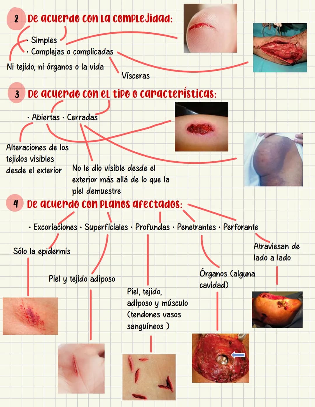PRIMEROS
AUXILIOS Primeros auxILIOS
Los primeros auxilios son muy importantes, ya que de los
primeros minutos dependerá el pronóstico de la 