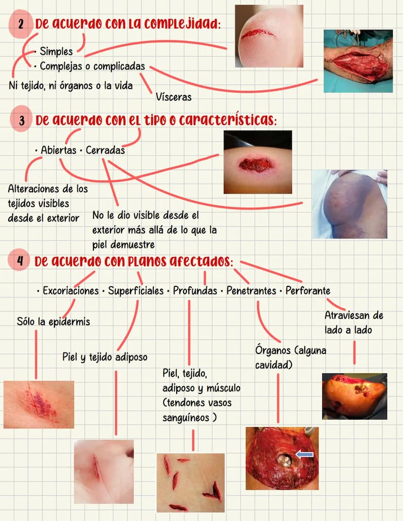 PRIMEROS
AUXILIOS Primeros auxILIOS
Los primeros auxilios son muy importantes, ya que de los
primeros minutos dependerá el pronóstico de la 