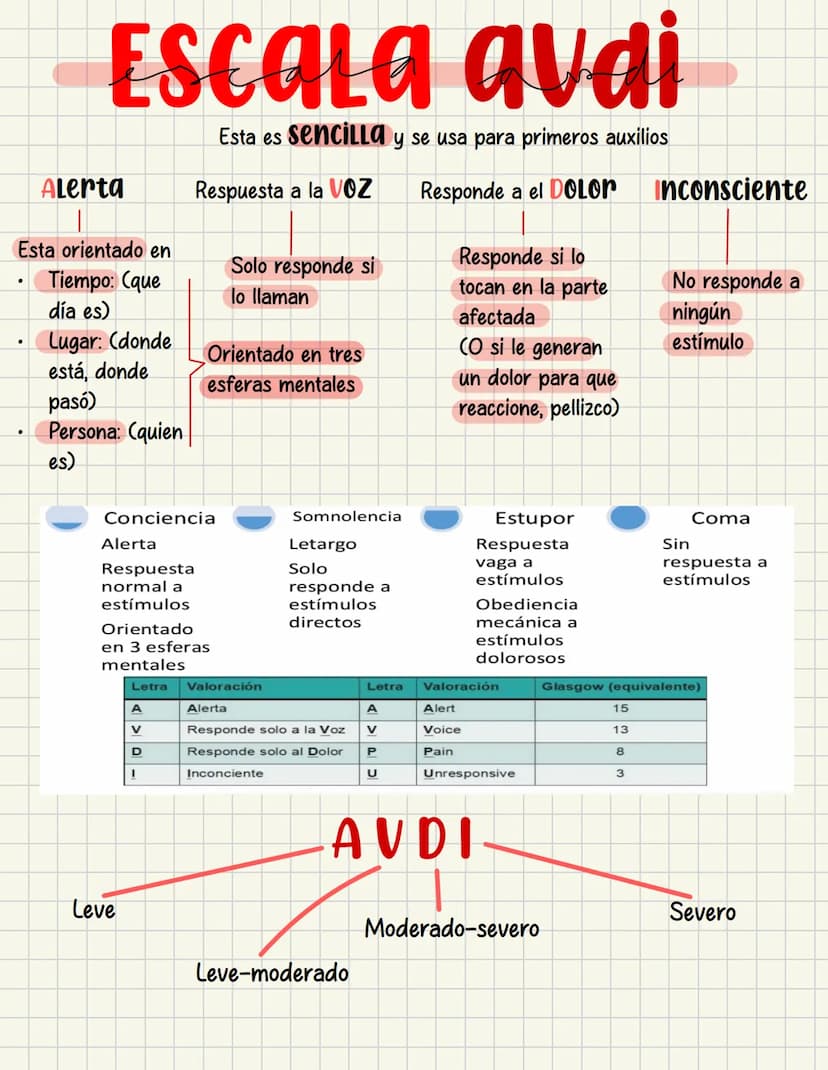 PRIMEROS
AUXILIOS Primeros auxILIOS
Los primeros auxilios son muy importantes, ya que de los
primeros minutos dependerá el pronóstico de la 