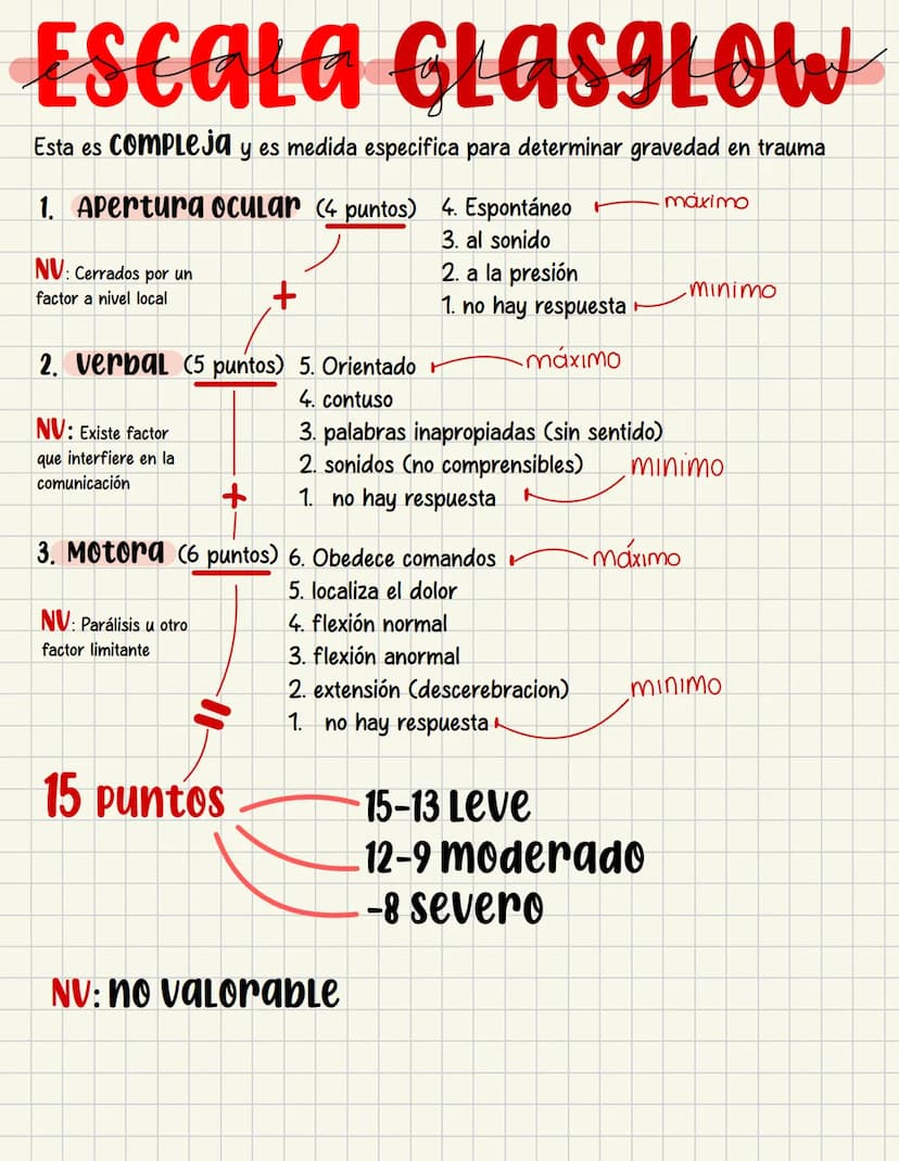 PRIMEROS
AUXILIOS Primeros auxILIOS
Los primeros auxilios son muy importantes, ya que de los
primeros minutos dependerá el pronóstico de la 