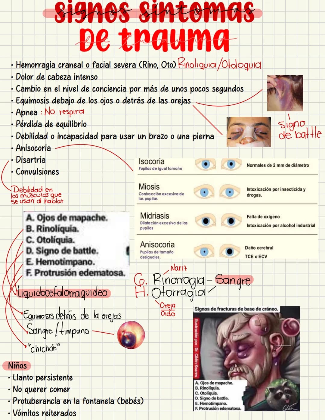 PRIMEROS
AUXILIOS Primeros auxILIOS
Los primeros auxilios son muy importantes, ya que de los
primeros minutos dependerá el pronóstico de la 