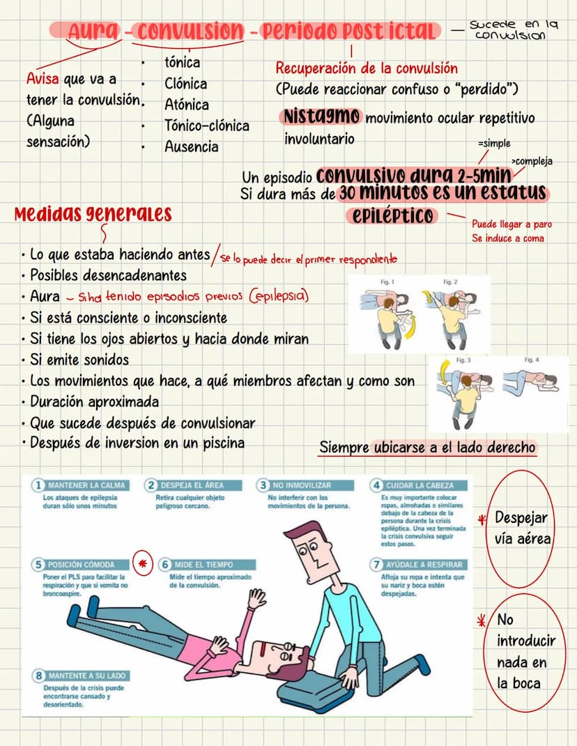 PRIMEROS
AUXILIOS Primeros auxILIOS
Los primeros auxilios son muy importantes, ya que de los
primeros minutos dependerá el pronóstico de la 