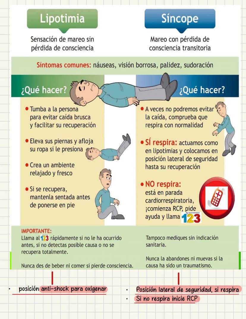 PRIMEROS
AUXILIOS Primeros auxILIOS
Los primeros auxilios son muy importantes, ya que de los
primeros minutos dependerá el pronóstico de la 