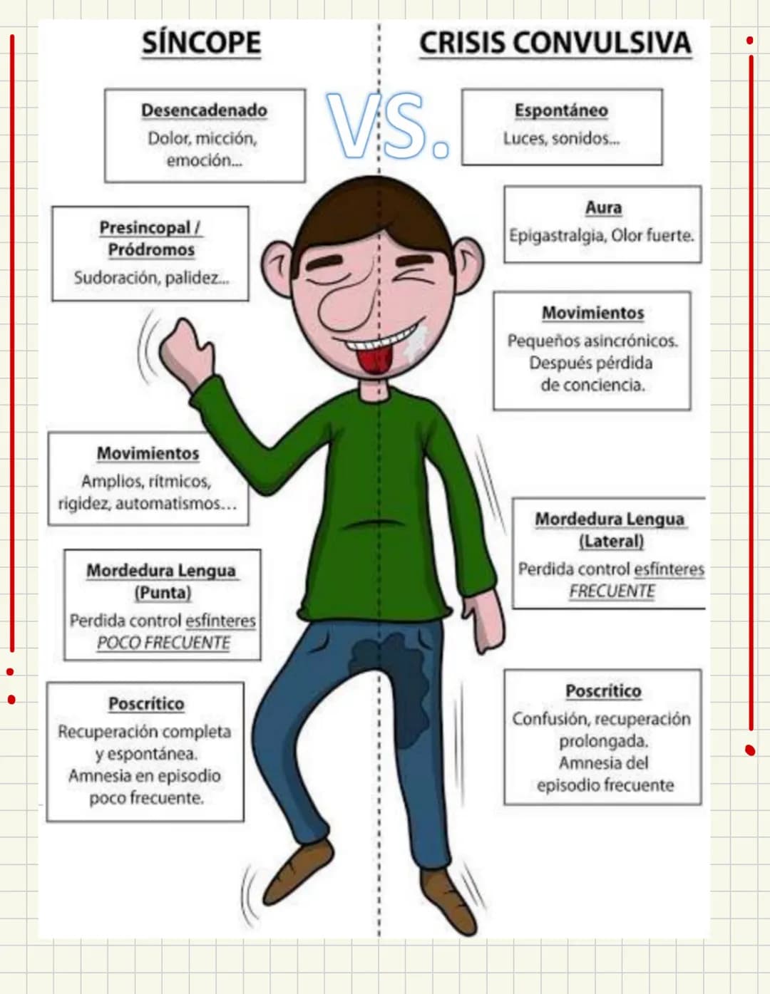 PRIMEROS
AUXILIOS Primeros auxILIOS
Los primeros auxilios son muy importantes, ya que de los
primeros minutos dependerá el pronóstico de la 