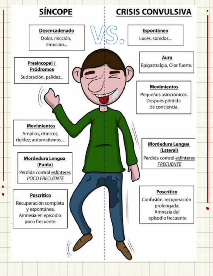 PRIMEROS
AUXILIOS Primeros auxILIOS
Los primeros auxilios son muy importantes, ya que de los
primeros minutos dependerá el pronóstico de la 