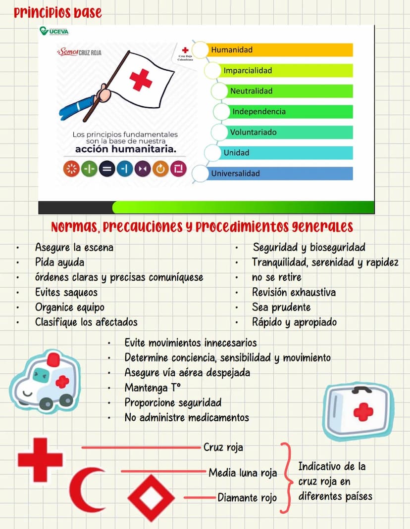 PRIMEROS
AUXILIOS Primeros auxILIOS
Los primeros auxilios son muy importantes, ya que de los
primeros minutos dependerá el pronóstico de la 